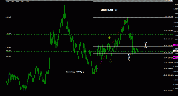 Click to Enlarge

Name: usdcad_4h_022.gif
Size: 23 KB