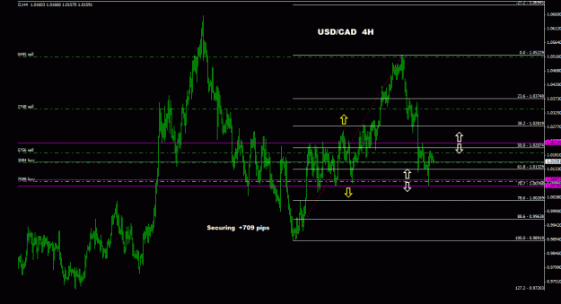 Click to Enlarge

Name: usdcad_4h_022.gif
Size: 23 KB