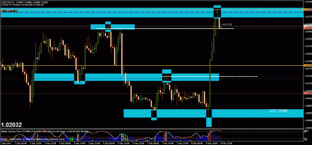 Click to Enlarge

Name: loonie 1hr.gif
Size: 31 KB