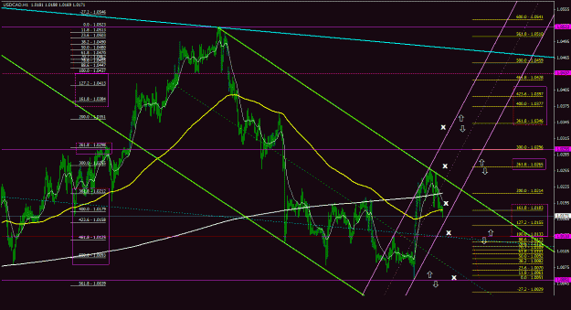 Click to Enlarge

Name: usdcad_1h_011.gif
Size: 38 KB