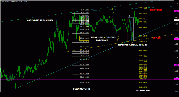 Click to Enlarge

Name: usdcad_5m_044.gif
Size: 32 KB