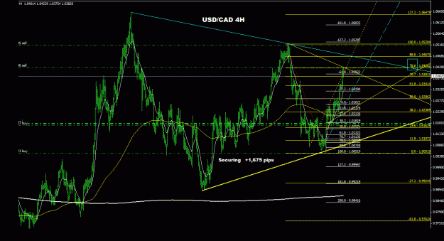 Click to Enlarge

Name: usdcad_4h_022.gif
Size: 32 KB