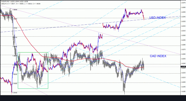 Click to Enlarge

Name: usdcad_indexes_15m_055.gif
Size: 38 KB