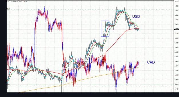 Click to Enlarge

Name: usdcad_indexes_30m_011.gif
Size: 57 KB