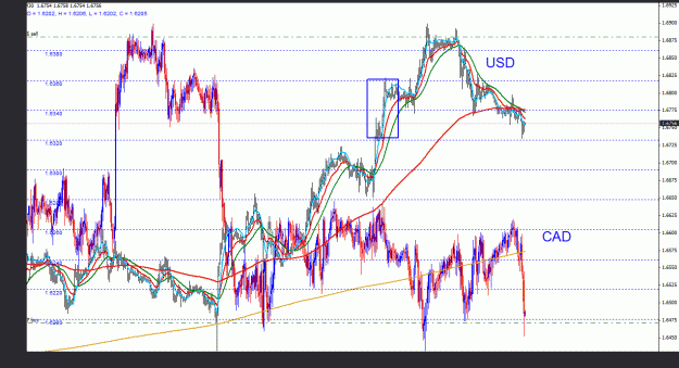 Click to Enlarge

Name: usdcad_indexes_30m_022.gif
Size: 43 KB