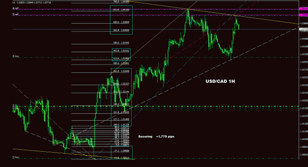 Click to Enlarge

Name: usdcad_1h_044.gif
Size: 30 KB