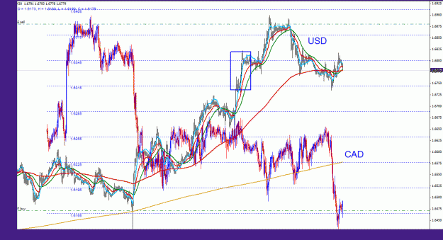 Click to Enlarge

Name: usdcad_indexes_30m_033.gif
Size: 40 KB