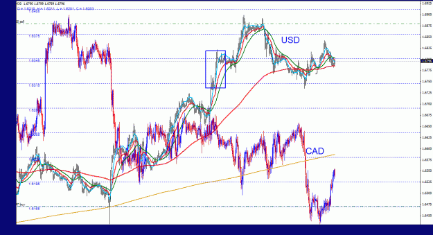 Click to Enlarge

Name: usdcad_indexes_30m_011.gif
Size: 41 KB