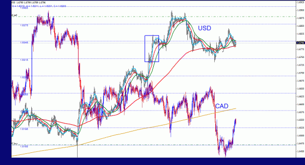 Click to Enlarge

Name: usdcad_indexes_30m_011.gif
Size: 41 KB