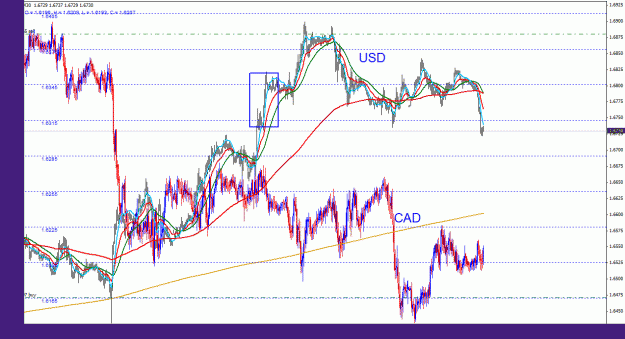 Click to Enlarge

Name: usdcad_indexes_30m_022.gif
Size: 40 KB