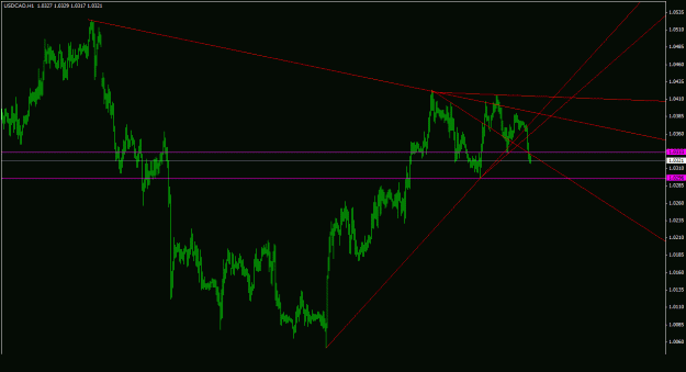 Click to Enlarge

Name: usdcad_1h_022.gif
Size: 19 KB