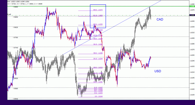 Click to Enlarge

Name: usdcad_indexes_30m_011.gif
Size: 38 KB