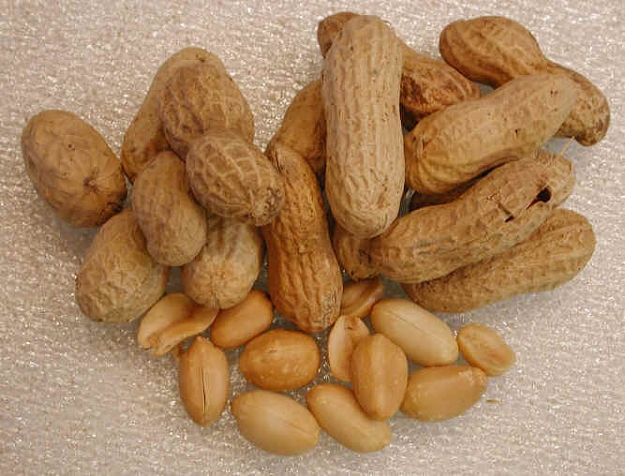 Click to Enlarge

Name: i-peanuts.jpg
Size: 39 KB