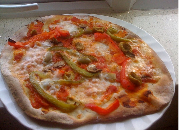 Click to Enlarge

Name: pizza2.JPG
Size: 124 KB