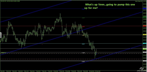 Click to Enlarge

Name: kiwi 15m.jpg
Size: 104 KB