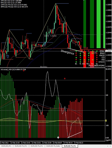 Click to Enlarge

Name: EURUSD, M1, 2012 February 13.jpg
Size: 204 KB