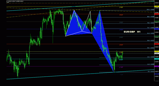 Click to Enlarge

Name: eurgbp_1h_011.gif
Size: 30 KB