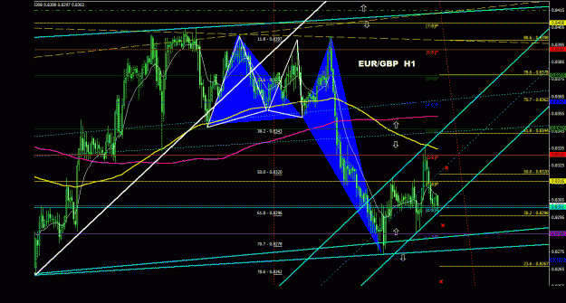 Click to Enlarge

Name: eurgbp_1h_044.gif
Size: 39 KB