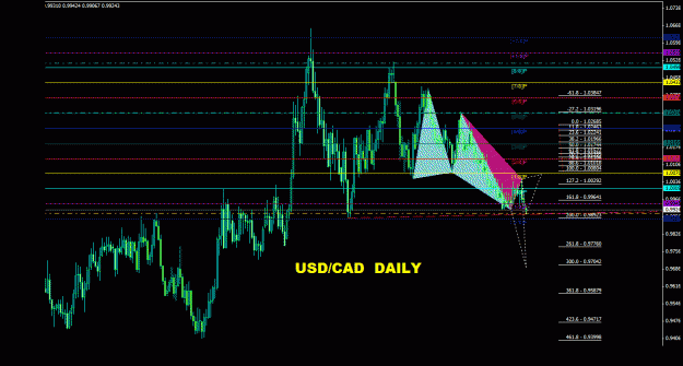 Click to Enlarge

Name: usdcad_daily_011.gif
Size: 29 KB