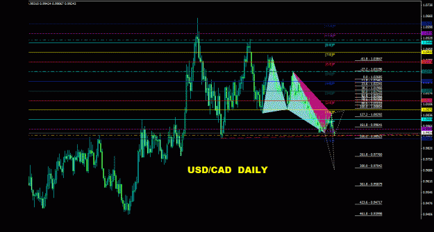 Click to Enlarge

Name: usdcad_daily_011.gif
Size: 29 KB