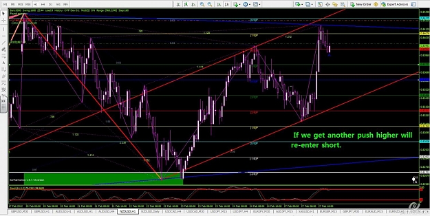Click to Enlarge

Name: kiwi short.jpg
Size: 168 KB