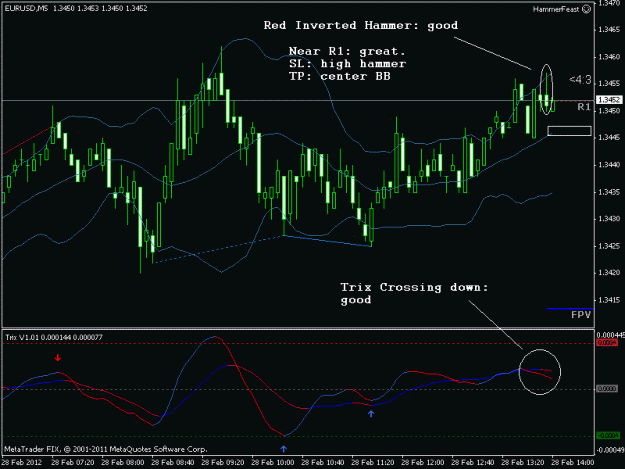 Click to Enlarge

Name: euro1.gif
Size: 19 KB