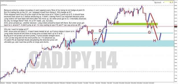 Click to Enlarge

Name: cjhedge.jpg
Size: 141 KB