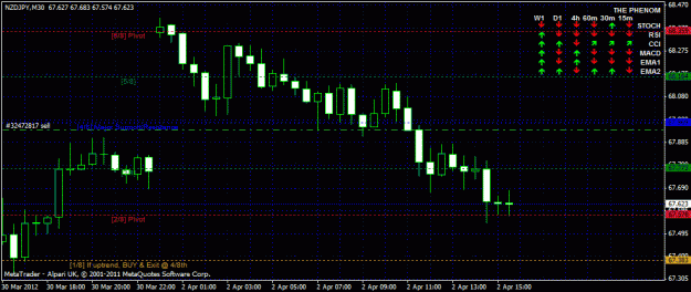 Click to Enlarge

Name: nzdj.gif
Size: 26 KB