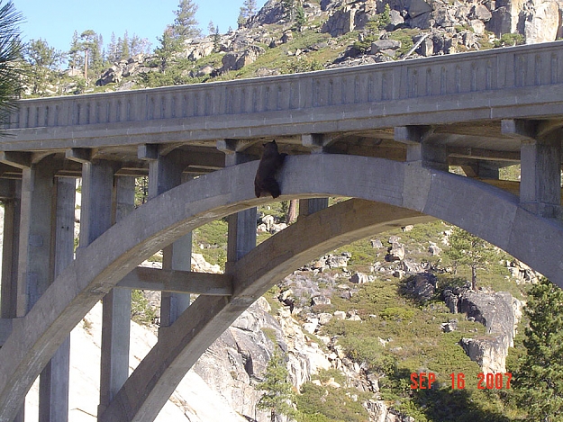 Click to Enlarge

Name: image002.jpg
Size: 217 KB