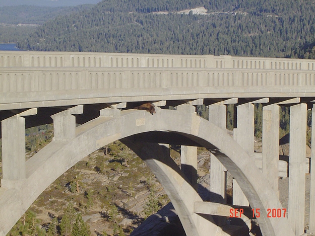 Click to Enlarge

Name: image003.jpg
Size: 154 KB