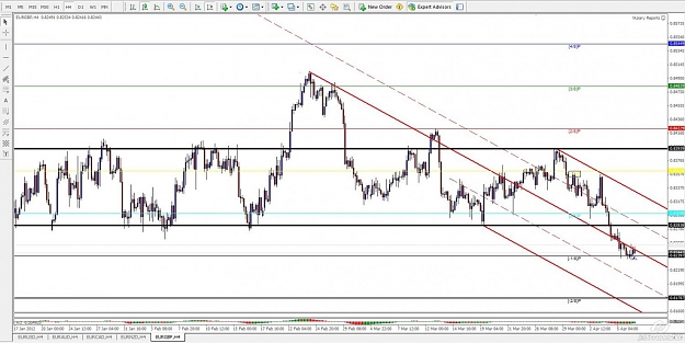 Click to Enlarge

Name: eurgbp 4hr.jpg
Size: 135 KB