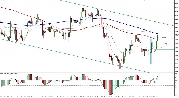 Click to Enlarge

Name: loonietrade.jpg
Size: 162 KB