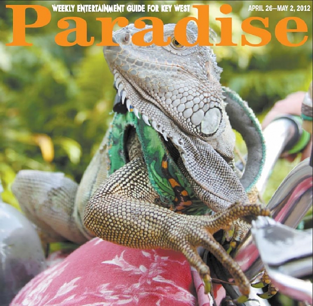 Click to Enlarge

Name: cover.jpg
Size: 117 KB