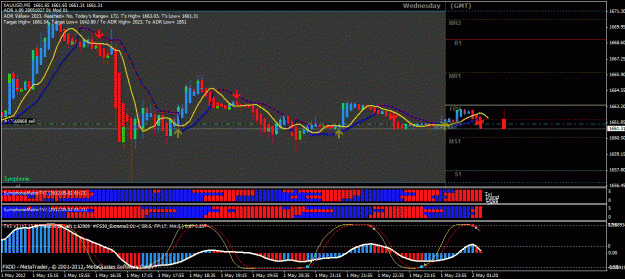 Click to Enlarge

Name: gold m5.gif
Size: 40 KB