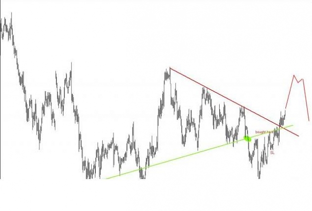 Click to Enlarge

Name: aussie 26-04 before.JPG
Size: 19 KB
