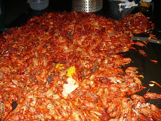 Click to Enlarge

Name: crawfish-boil-table.jpg
Size: 486 KB