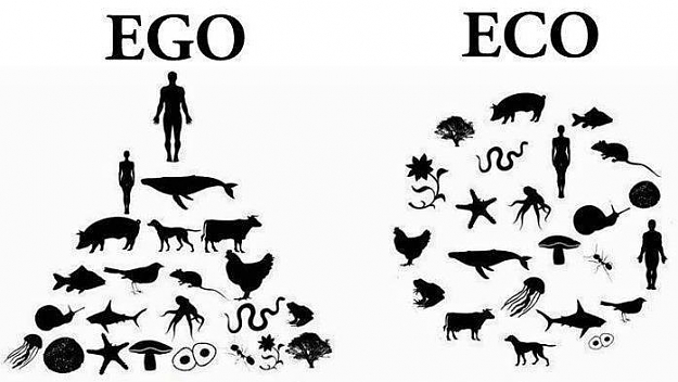 Click to Enlarge

Name: egoeco.jpg
Size: 35 KB