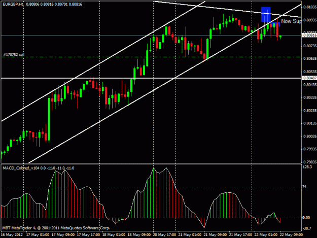 Click to Enlarge

Name: eurgbp 1h.gif
Size: 21 KB