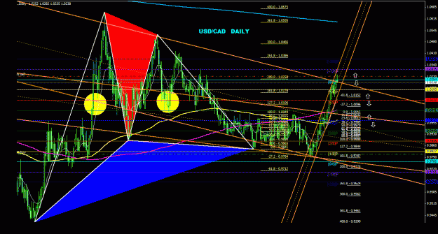 Click to Enlarge

Name: usdcad_daily_011.gif
Size: 45 KB