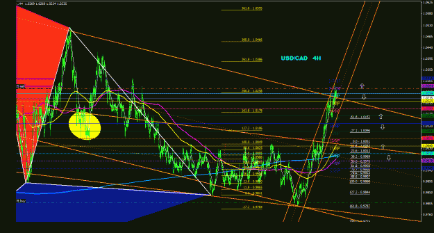 Click to Enlarge

Name: usdcad_4h_011.gif
Size: 46 KB