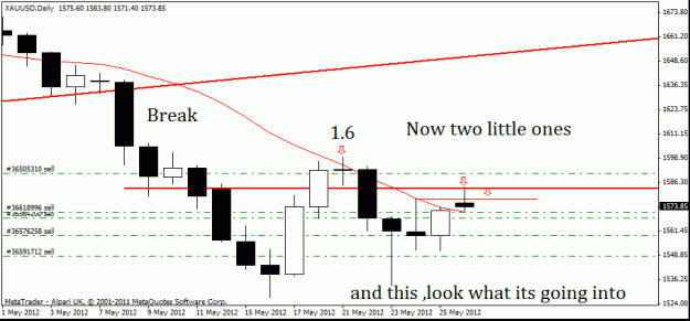 Click to Enlarge

Name: gold d1.gif
Size: 15 KB
