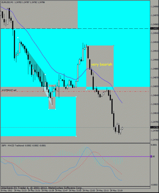 Click to Enlarge

Name: eurusd 5-29-12 m1a.gif
Size: 23 KB