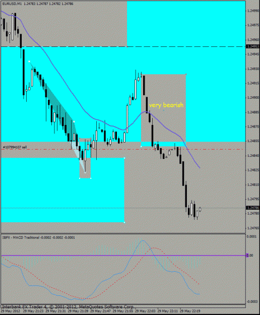 Click to Enlarge

Name: eurusd 5-29-12 m1a.gif
Size: 23 KB
