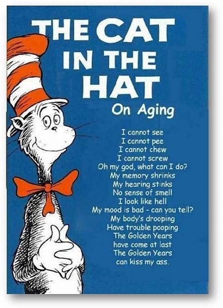 Click to Enlarge

Name: Dr S cat in the hat.jpg
Size: 59 KB