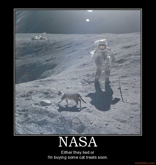 Click to Enlarge

Name: nasa-cat-moon-apollo-astronaut-space-kitty-demotivational-poster-1247159827.jpg
Size: 85 KB