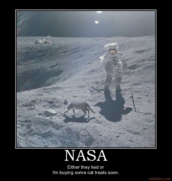 Click to Enlarge

Name: nasa-cat-moon-apollo-astronaut-space-kitty-demotivational-poster-1247159827.jpg
Size: 85 KB