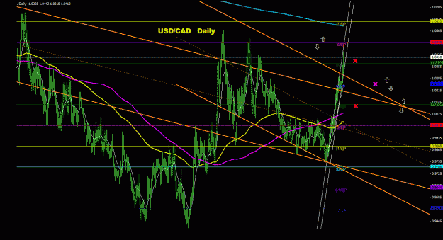 Click to Enlarge

Name: usdcad_daily_011.gif
Size: 35 KB