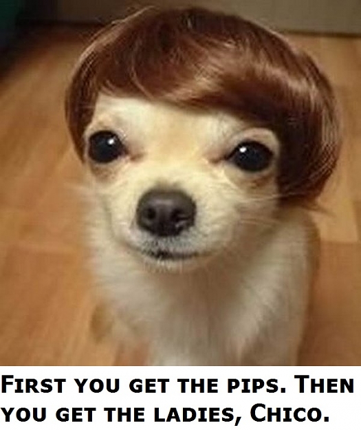 Click to Enlarge

Name: Little Pimp Dog.jpg
Size: 82 KB
