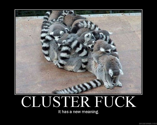 Click to Enlarge

Name: Cluster_87cc52_222200.jpg
Size: 82 KB