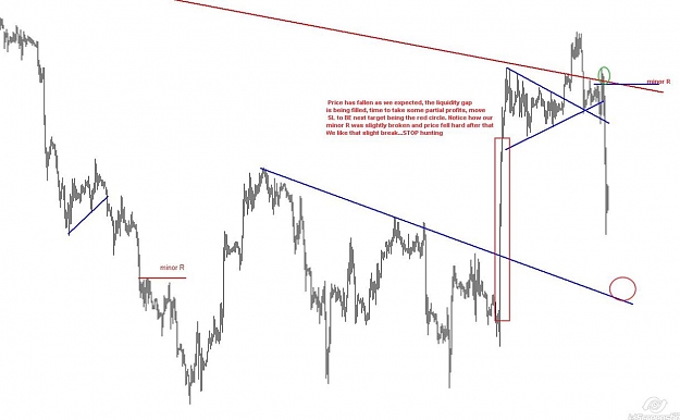 Click to Enlarge

Name: Gold 07-06 after.JPG
Size: 63 KB